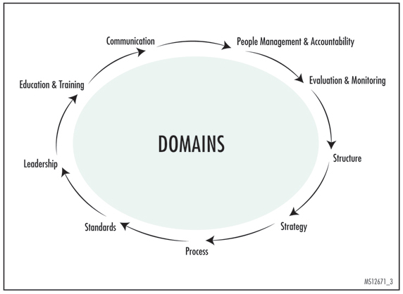Figure 3. Domains as a Framework for Assessing Achievement