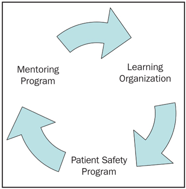 Figure 4. Sustainability through Mentoring