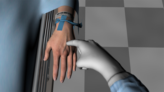 Figure 4. The simulator includes the “feeling” of palpating a vein.