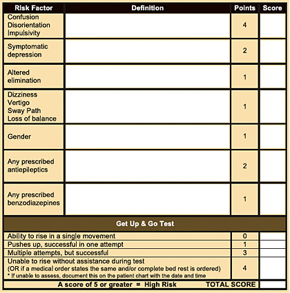 Fall Risk Assessment Chart